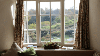 Choosing the Right Windows: uPVC, Aluminium, or Timber?