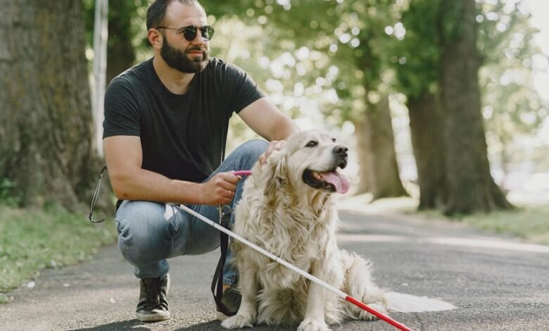 digital service quality guide