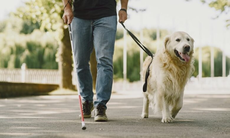 smart digital service guide